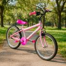 Bicicleta Infantil Menina Aro 20