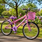 Bicicleta Infantil Menina Aro 20 com acessórios