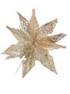 Bico de Papagaio Rustico Dourado e Champagne