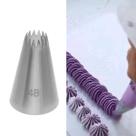 Bico Estrela 4b Pitanga 1 Unidades. Inox