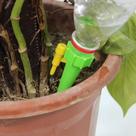 Bicos Irrigador Automático Gotejador Garrafa Pet Garden 12 peças