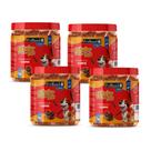 Bifinho para Cães Super Premium Carne Pote 1kg Kit com 4 Unidades PetHand