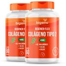 Bigens kit 2x regener flex colágeno tipo ii 60 caps