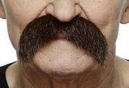 Bigodes falsos Walrus Brown para adultos no Dia das Bruxas