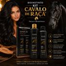 Bio Instinto Cavalo de Raça Kit Capilar Força e Resistência Profissional Shampoo e Condicionador Bio Instinto Cavalo de Raça Kit Capilar Força e Resistência Profissional Shampoo e Condicionador