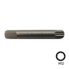 Bit Multidentado M12