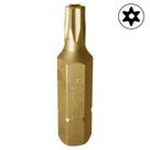 Bit Torx Com Furo Guia T20H Bit Torx Com Furo Guia T20H