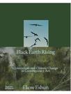 Black earth rising