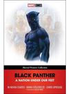 Black panther - a nation under our feet