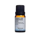 Blend oleos essenciais puros 10ml hora de dormir