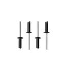 Blind Rivets HZQX-Rop Alumínio 4,8 x 25,4 mm, preto, 100 unidades