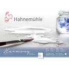 Bloco Aquarela Harmony 300g/m Rough 29,7x42cm 12 Folhas Hahnemuhle 1 ed