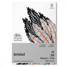 Bloco De Papel Desenho Winsor & Newton Bristol 250G 20Fl A5