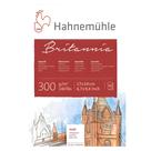 Bloco Hahnemuhle Aquarela Britannia Textura Fina 17x24cm 12 Folhas Bloco Hahnemuhle Aquarela Britannia Textura Fina 17x24cm 12 Folhas