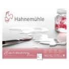 Bloco Hahnemuhle Watecolour Harmony 300 g/m² TF 40 x 50 cm 1
