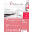 Bloco Hahnemuhle Watercolour Expression 300 g/m² TF 12 Fls 8 x 10,5 cm Bloco Hahnemuhle Watercolour Expression 300 g/m² TF 12 Fls 8 x 10,5 cm