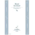 Bloco Lana Bristol A3 250g com 20 Folhas 15023585