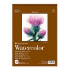 Bloco Papel Strathmore Watercolor 300g 12 Folhas 22,9x30,5cm Bloco Papel Strathmore Watercolor 300g 12 Folhas 22,9x30,5cm