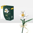 Blocos de construção Flower Bouquet Cihely Daffodil 601251