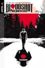Bloodshot Renascido Volume 1 - Colorado - Jambô