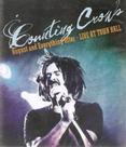 Blu-ray Counting Crous - August And Everything After