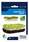 Blue line microverde rucula