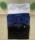 Blusa basica
