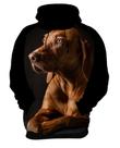 Blusa de Frio Olhar Canino Cão Cachorro Doguíneo 2