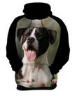Blusa de Frio Olhar Canino Cão Cachorro Doguíneo 7