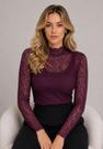 Blusa de Renda Manga Longa com Gola Alta Roxo Salvatore Blusa de Renda Manga Longa com Gola Alta Roxo Salvatore