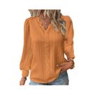 Blusa Feminina Elegante Com Decote V E Manga Longa Em Renda, Top Casual Básico Vazado Para O Verão Blusa Feminina Elegante Com Decote V E Manga Longa Em Renda, Top Casual Básico Vazado Para O Verão