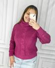 Blusa gola alta alessandra - veste até o 46