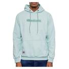 Blusa Masculina Ecko Unlimited Moletom Rubber Verde - 1J45A