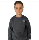 Blusa Moletom Infantil Menino Moletom Careca Peluciada