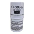 Blush 3 em 1, Blush, Batom e Sombra