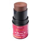 Blush Bastão Terracota Pink Cheeks All In One 4,5g - Terracota