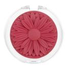 Blush Compacto Margaripétala Maria Margarida
