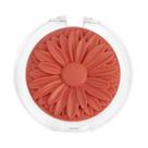 Blush Compacto Margaripétala Maria Margarida Blush Compacto Margaripétala Maria Margarida