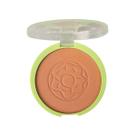 Blush Compacto Ruby Rose Melu RR871