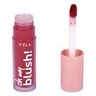 Blush Líquido Oh My Cor 04 Plum Red Vizzela