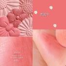 Blushes bronzers natural repair blush rouge sedoso toque creme tonalidade bochecha fácil de usar maquiagem blush 301