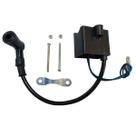 Bobina Cdi 80cc para motor bike motorizada