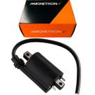 Bobina De Ignicao Cb 300r 2009 Até 2015 Magnetron 90202580