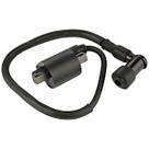 Bobina De Ignição Sundown Web 100 2002 A 2020 Gauss