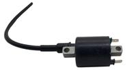 Bobina Ignição Cg Titan 150 e Fan 150 2014