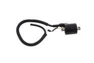 Bobina Ignicao Condor 12v Pop 100 F016