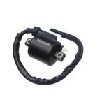 Bobina Ignicao Condor 12v Tur/xls/83... F016