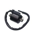 Bobina Ignicao Condor 12v Turuna 1983