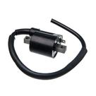 Bobina Ignicao Condor 12v Ybr 125 F016