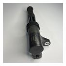 Bobina Ignição Stilo 2.4 20v 2002-2008 0221504460 - Original